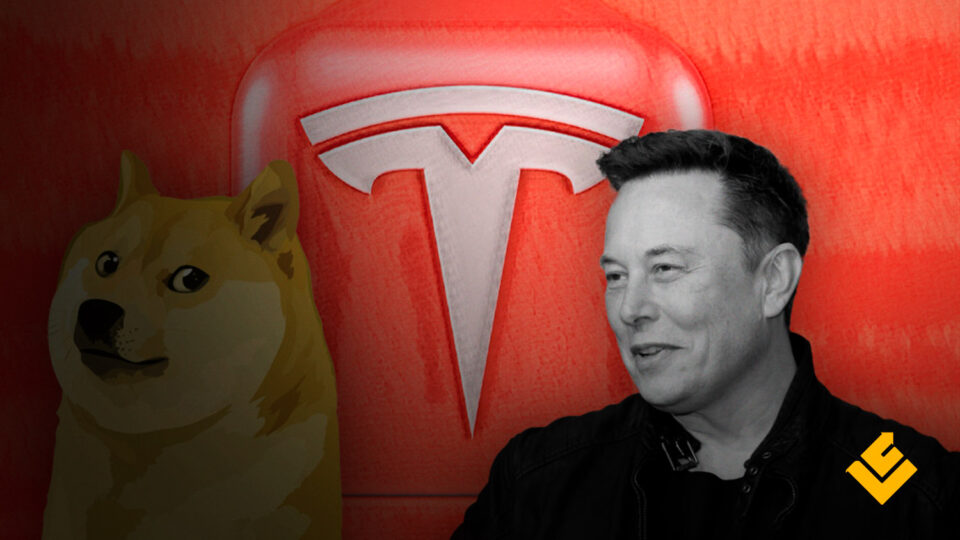 Dogecoin dispara após Elon Musk anunciar que Tesla e SpaceX aceitarão a criptomoeda